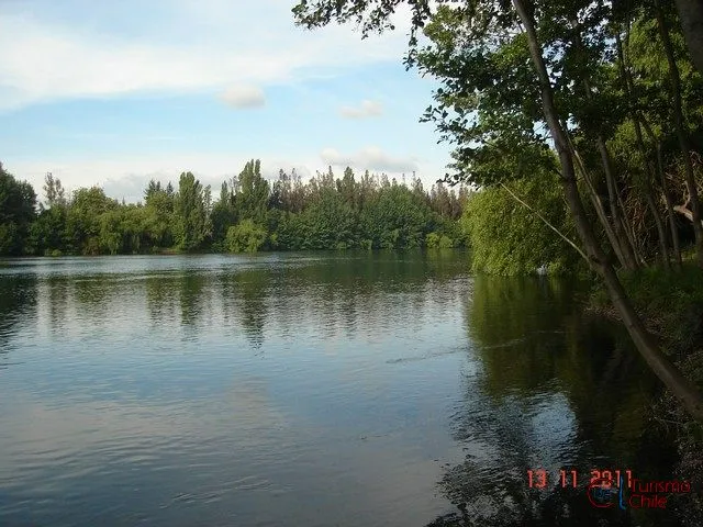 Vista panorámica del río Laja con vegetación nativa en Camping Bellavista