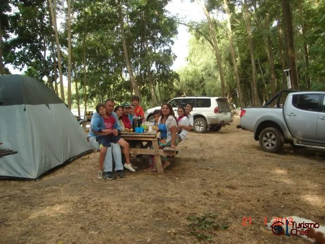 Grupo familiar reunido en mesa de picnic bajo los árboles del camping