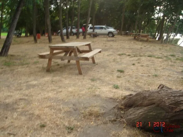 Mesa de picnic de madera bajo los pinos del Camping Bellavista