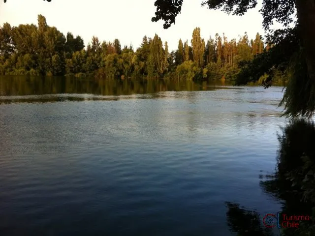 Vista del río Laja al atardecer con vegetación nativa reflejada